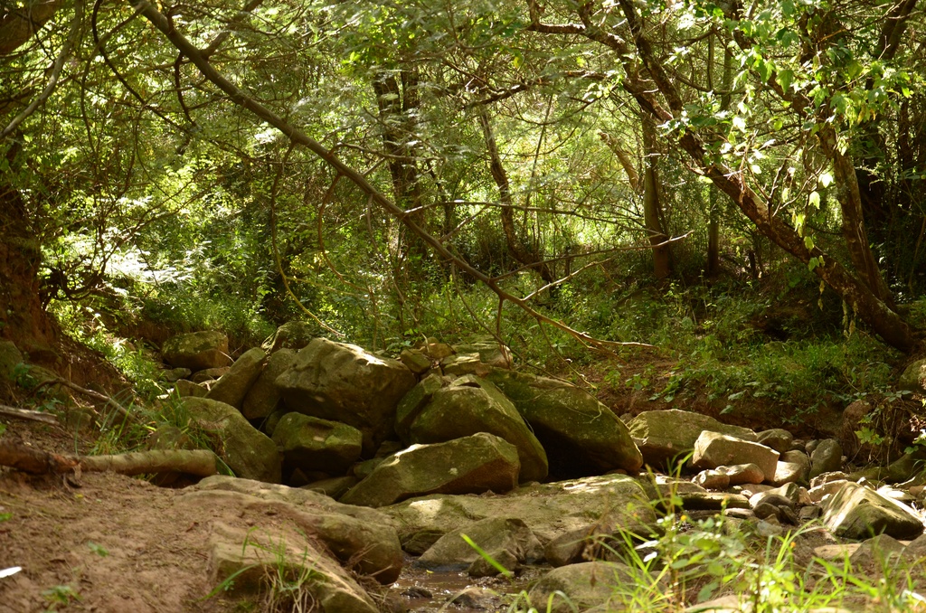 2015-05 South Africa/Drakensburg/DSC_0079.JPG
